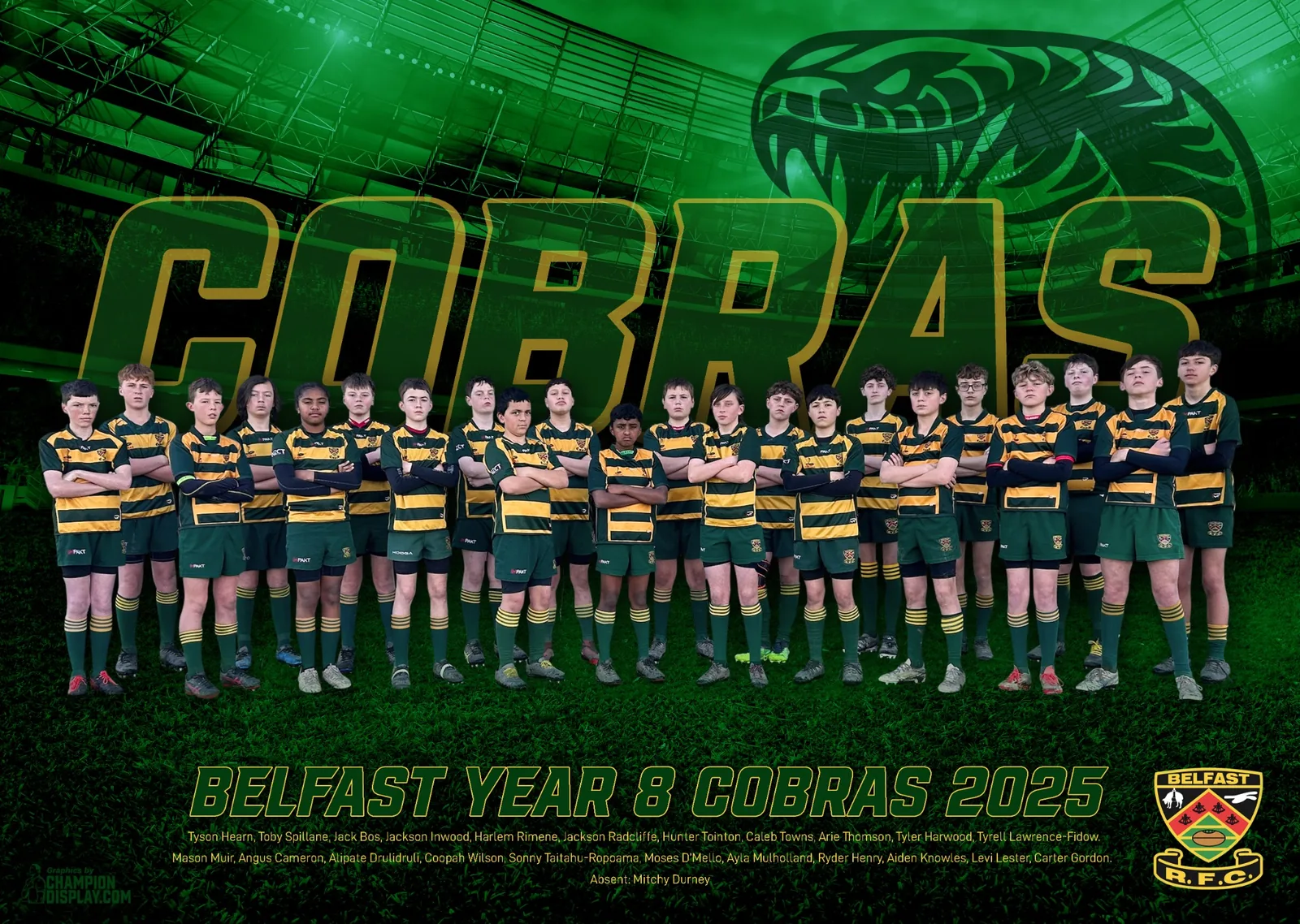 Belfast Year 8 Cobras team poster